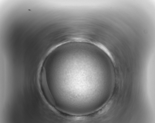 X0000089461381200706221257