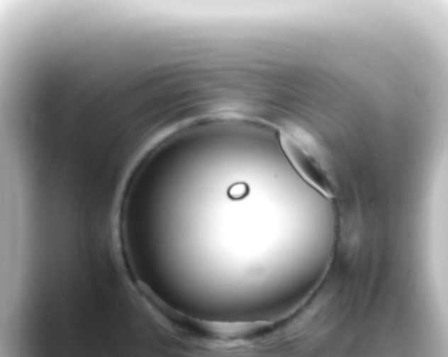 X0000089461384200706221257