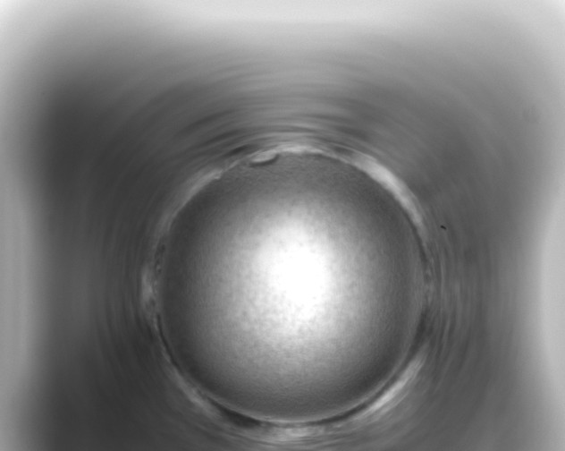 X0000089461385200706221257