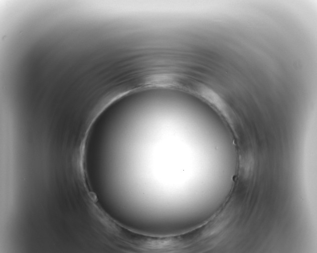 X0000089461386200706221257