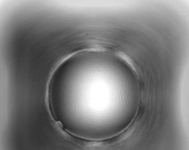 X0000089461387200706221257
