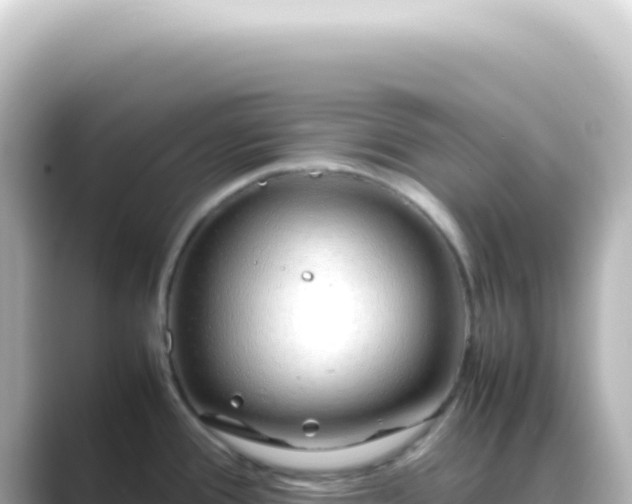 X0000089461388200706221257