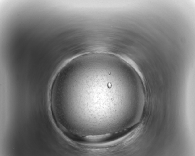 X0000089461389200706221257
