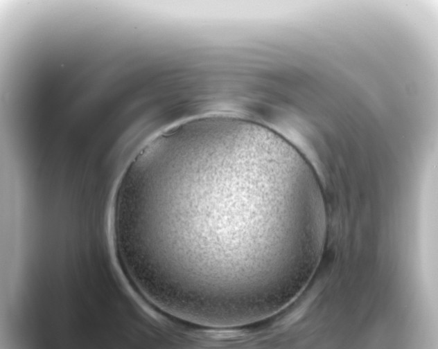 X0000089461391200706221257