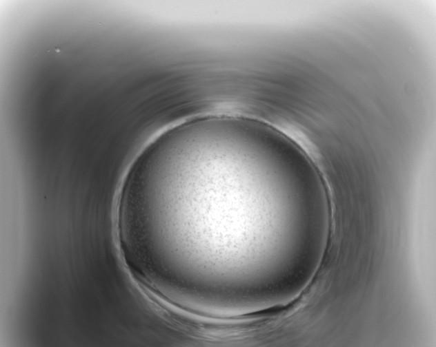 X0000089461392200706221257