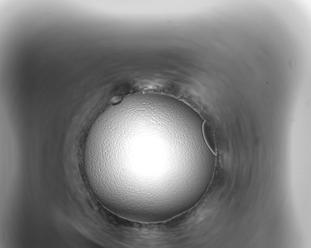 X0000089461393200706221256