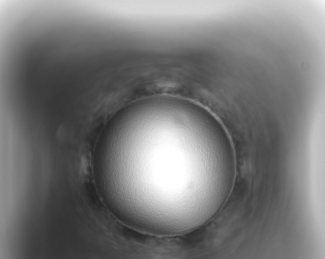 X0000089461397200706221256