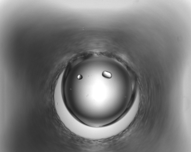 X0000089461398200706221256