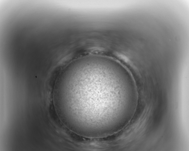 X0000089461399200706221256