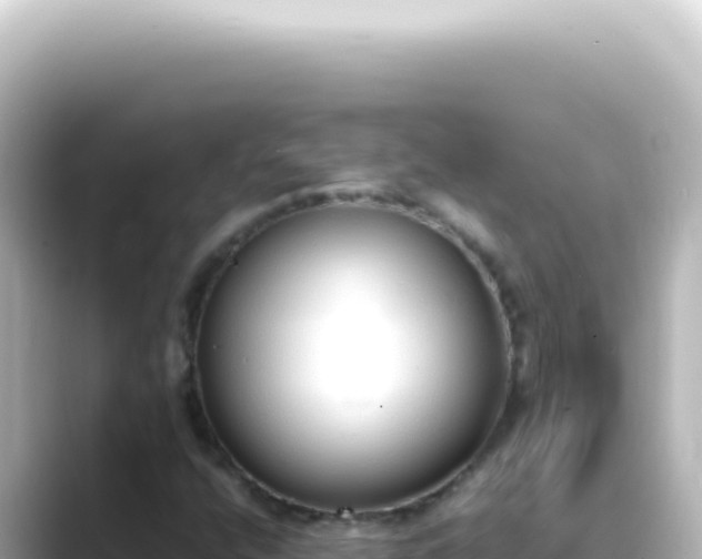 X0000089461400200706221256