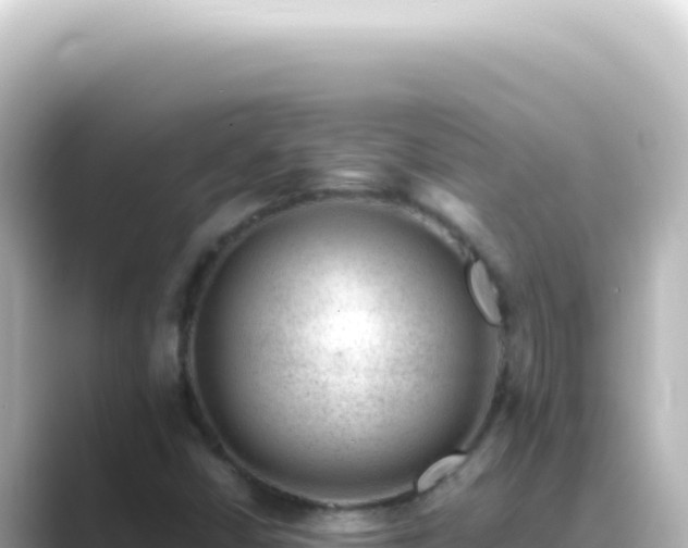 X0000089461402200706221257