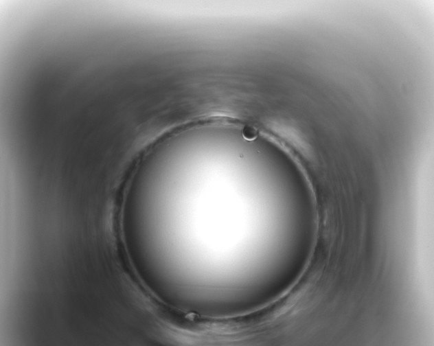 X0000089461404200706221257