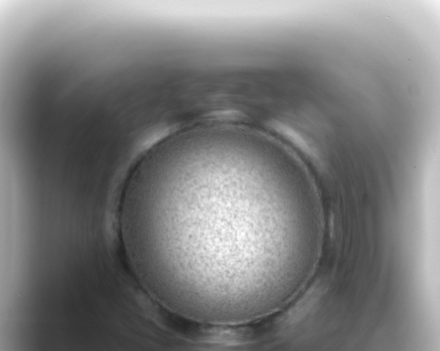 X0000089461405200706221257