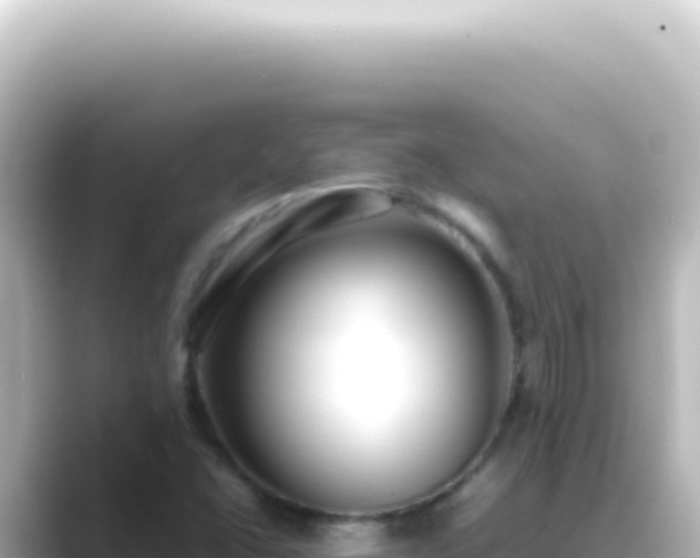 X0000089461406200706221257