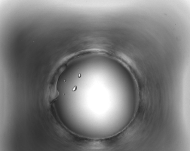 X0000089461408200706221257