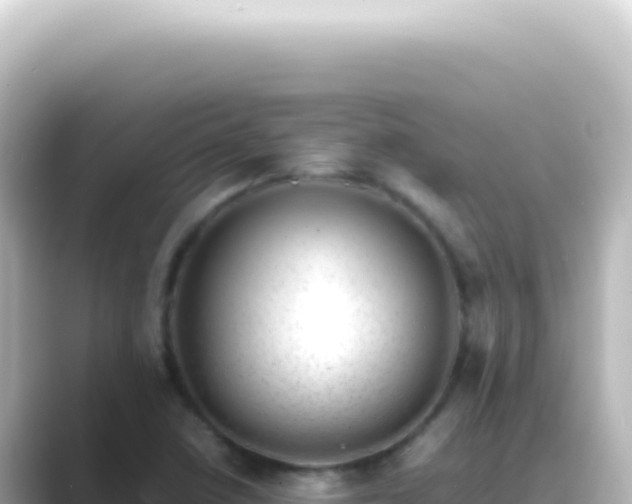 X0000089461410200706221257