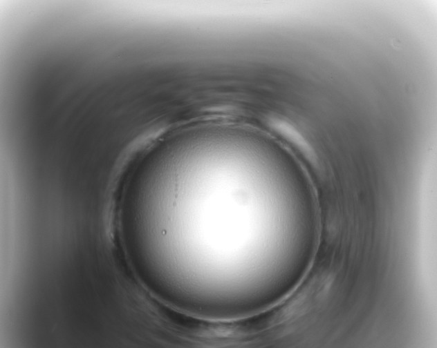 X0000089461411200706221257