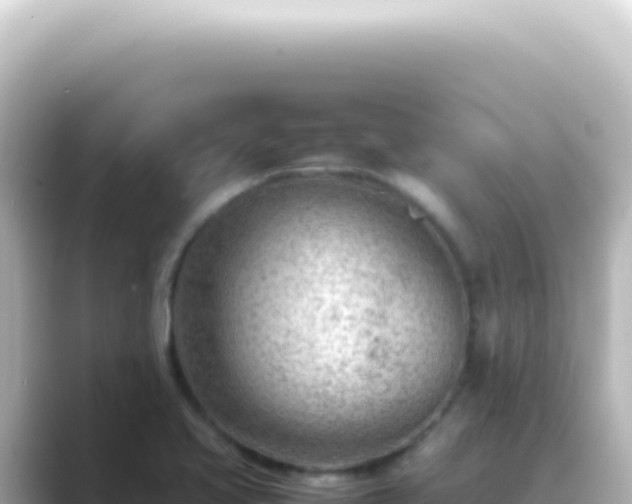 X0000089461413200706221257