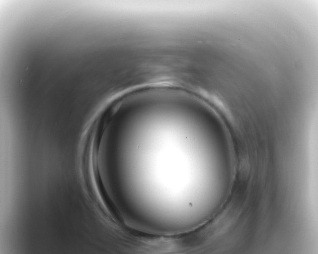 X0000089461414200706221257