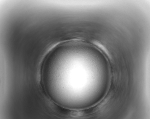 X0000089461415200706221257