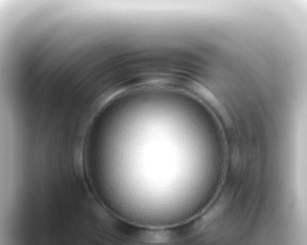 X0000089461417200706221257