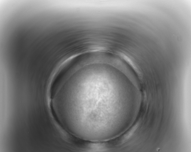 X0000089461418200706221257
