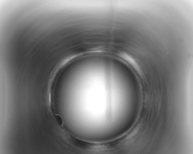X0000089461419200706221257