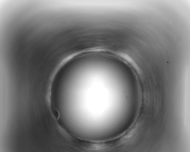 X0000089461421200706221257