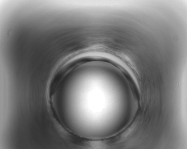 X0000089461422200706221257