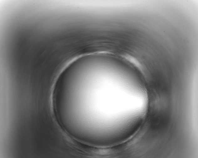 X0000089461423200706221257