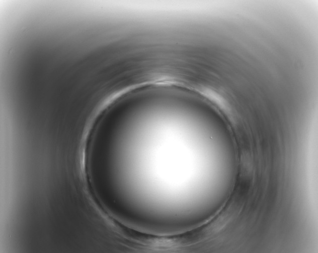 X0000089461424200706221257