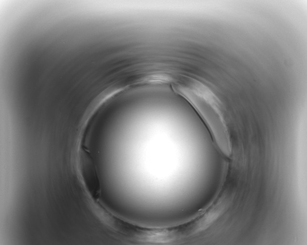 X0000089461426200706221257