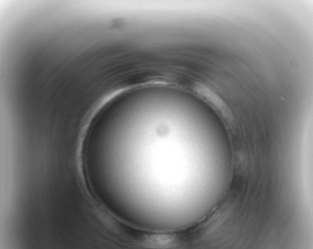 X0000089461427200706221257