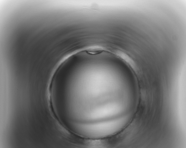 X0000089461428200706221257