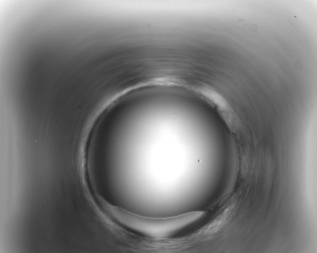 X0000089461430200706221257
