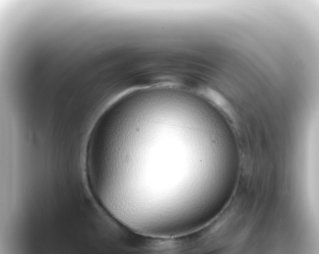 X0000089461431200706221257