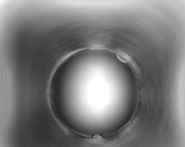 X0000089461432200706221257