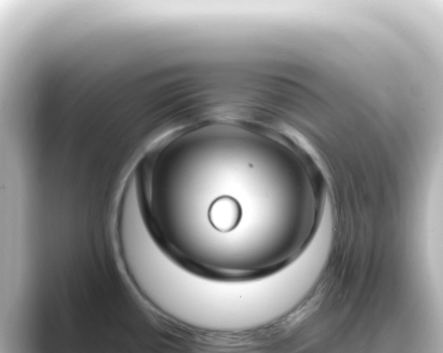 X0000089461434200706221257