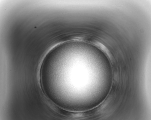 X0000089461435200706221257