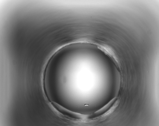 X0000089461438200706221257