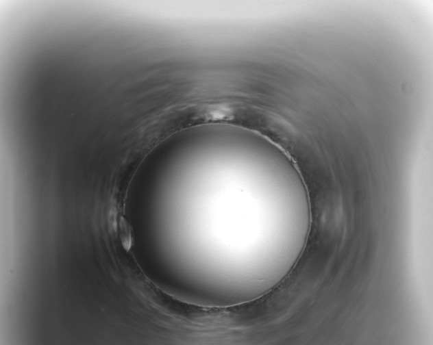 X0000089461442200706221256