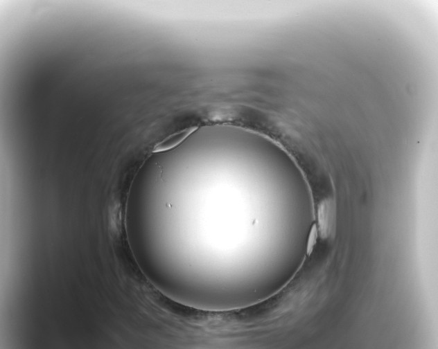 X0000089461443200706221256