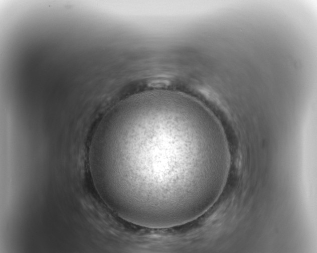 X0000089461445200706221256