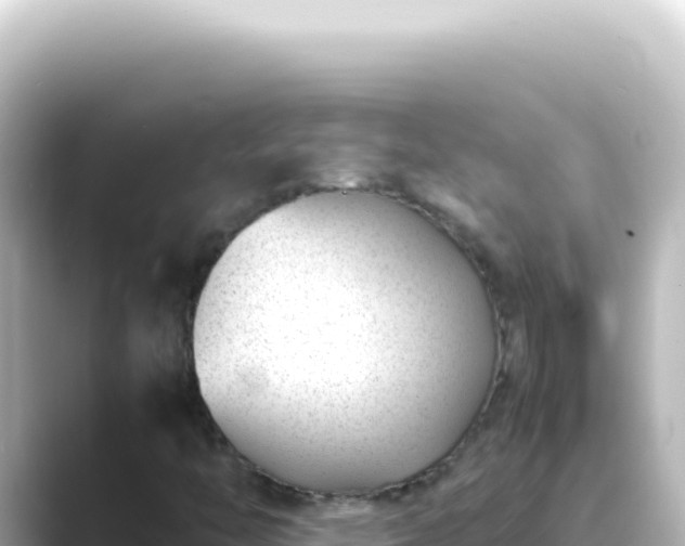 X0000089461446200706221256