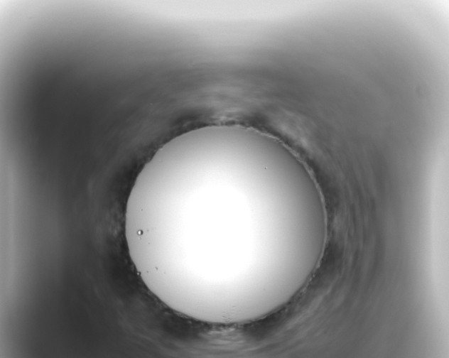 X0000089461447200706221256