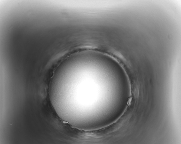 X0000089461448200706221256
