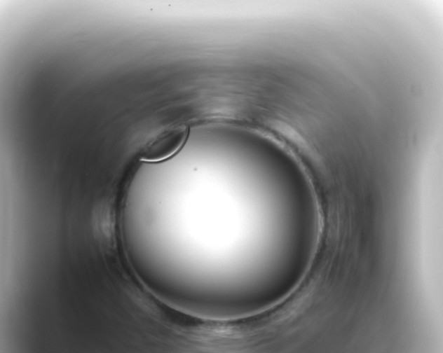 X0000089461450200706221256