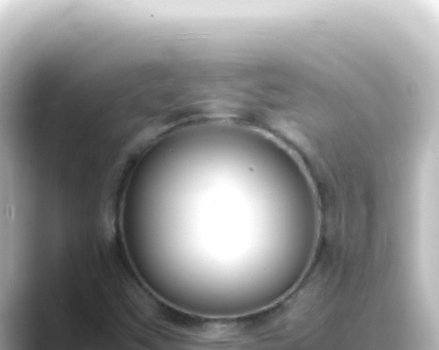 X0000089461451200706221256