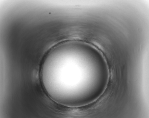 X0000089461452200706221256