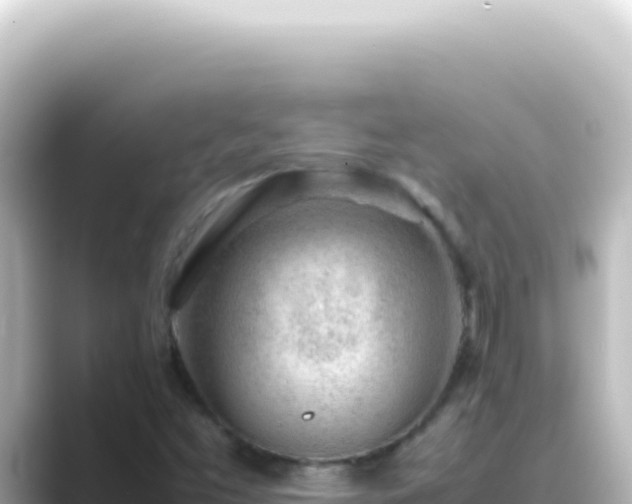 X0000089461453200706221256